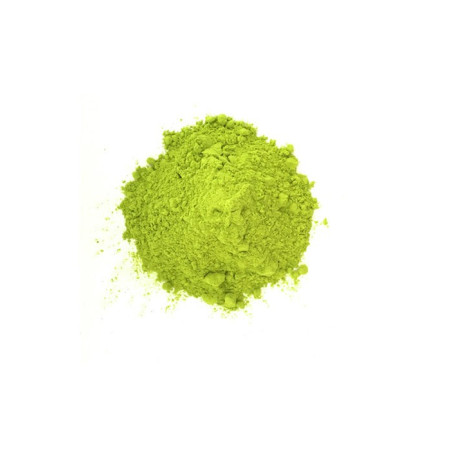 Poudre Colorée HOLI 70g