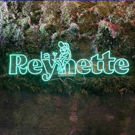 Enseigne lumineuse avec néon led flex sur mesure pour bar et club - la reynette