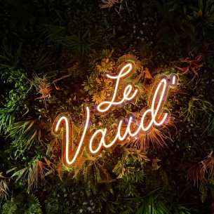 Custom LED Neon Signs — Made to Order, Best Price