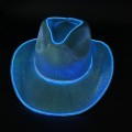 Iridescent Electro-Luminescent Cowboy Hat
